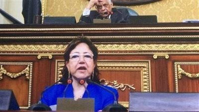 فايقة فهيم: إقرار قانون الإدارة المحلية يساهم في تعبئة أكبر قدر ممكن من الموارد المالية