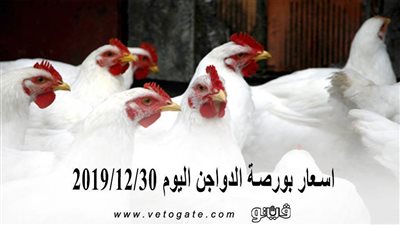 اسعار بورصة الدواجن اليوم 2019/12/30