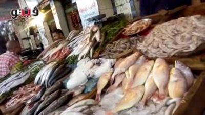 بالفيديو.. مواطنون بعد ارتفاع أسعار السمك: خليه يعفن