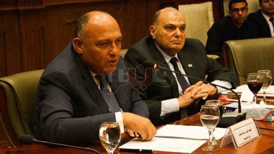 وزير الخارجية عن صفقة القرن: لن نفرط في ذرة تراب من أرض مصر