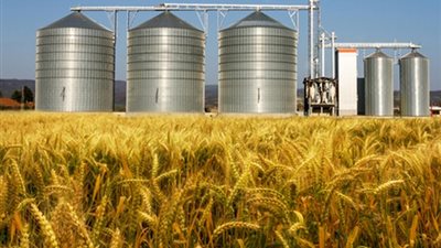 «تموين قنا» توريد 154 ألف طن قمح للصوامع والشون