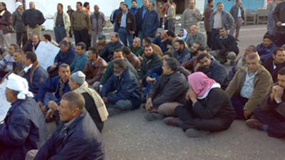 موظفو شئون البيئة يطالبون بالمساواة مع العاملين بـ