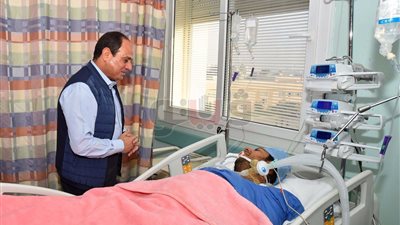 السيسي لـ«الحايس» بعد تحريره: «مصر لا تنسى أبناءها»