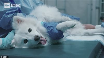 بشرى لمرضى السرطان.. تجربة لقاح جديد يسيطر على الورم ويمنع تطوره