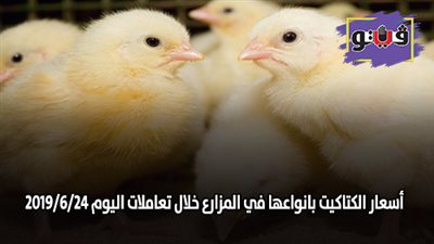 أسعار الكتاكيت بأنواعها في المزارع خلال تعاملات اليوم 2019/6/24