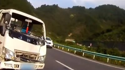 شاحنة تطيح ببقرة شردت نحو طريق سريع (فيديو)