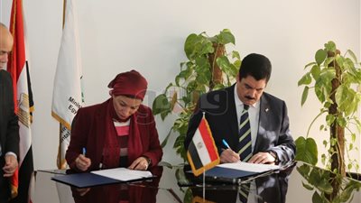 إنشاء مشتلين لإنتاج أشجار الزينة وتجميل الشوارع في القليوبية