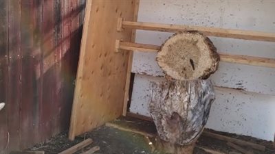 حظ المبتدئين يحالف شابا ينفذ خدعة جديدة (فيديو)