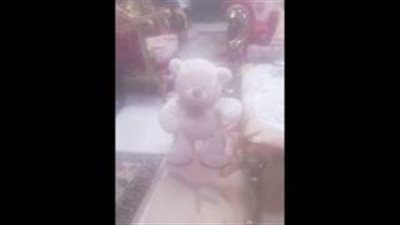 بالفيديو.. دمية تمشي تثير ذعر صاحب شقة