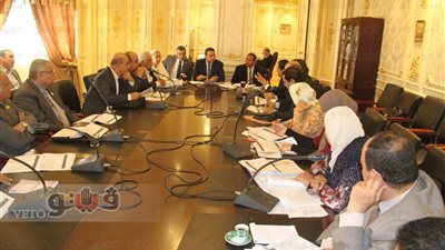 «صحة النواب»: دعم الدولة لشركات الأدوية «حل مؤقت» لأزمتهم