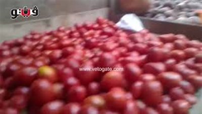 بالفيديو.. استقرار أسعار الخضراوات والفاكهة