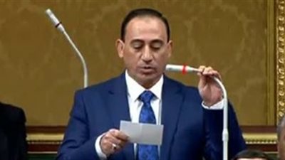 نائب «مستقبل وطن»: يجب على الداخلية التفرغ لحماية أمن المواطن