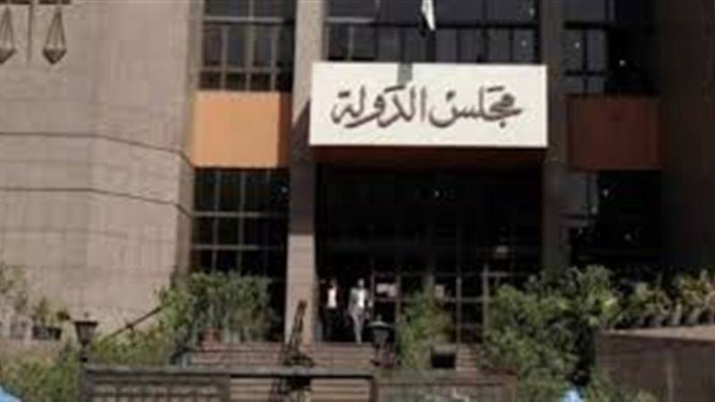 مجلس الدولة 