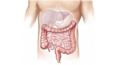 علاج القولون العصبي نهائيا | 9 نصائح لتجنب الإصابة بالقولون العصبي