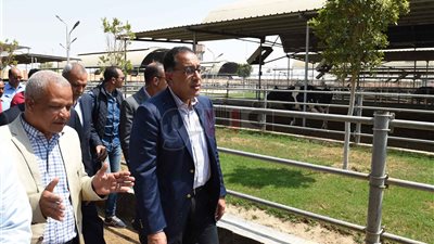 مدبولي يشيد بمشروع تطوير محطة الألبان في قنا