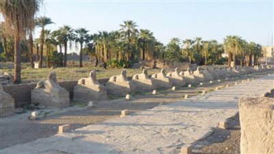 بيان بالبرلمان بشأن نقل 4 تماثيل 