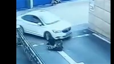 لقطات مروعة للحظة دهس امرأة 3 أطفال (فيديو)