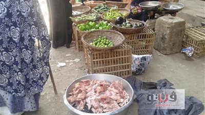 بالصور.. هياكل وعظام الدواجن «أكل الغلابة»