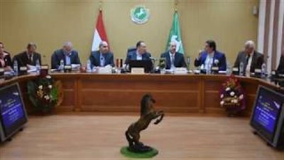 محافظ الشرقية لـ«النواب»: لن أسمح بالتعدى على أملاك الدولة (فيديو)