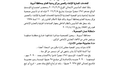 ملخص قيد الجمعية الإنتاجية بأسيوط