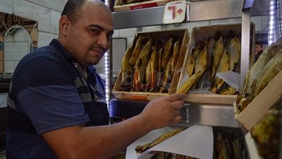 أسعار الرنجة والفسيخ في الأسواق أغلى من اللحوم (صور)