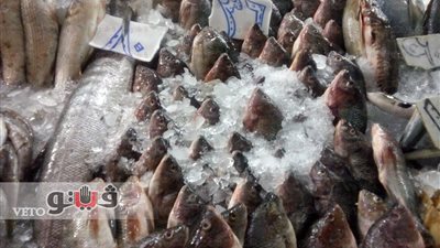 بالفيديو.. أسعار السمك اليوم بسوق العتبة.. البلطي يسجل 36 جنيها