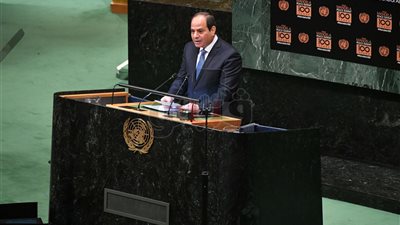 15 معلومة عن مجموعة «الـ77+ الصين» برئاسة السيسي في نيويورك