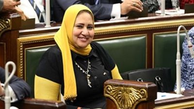 نائبة بـ«دعم مصر»: انتخابات المحليات في 2019