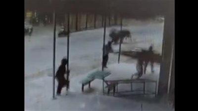 ثور هائج يثير الرعب ويصيب 5 أشخاص وضابطا (فيديو)