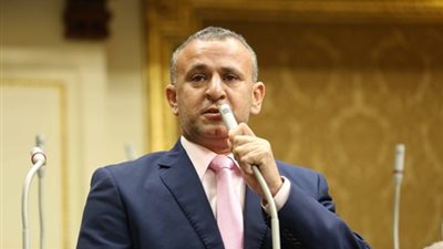 نائب: مصر لا تتآمر على السودان وتصريحات السيسي أجهضت المؤامرة القطرية