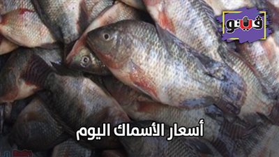 أسعار الأسماك اليوم | تعرف على الأسعار في سوق العبور