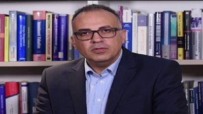 هاني سويلم يوضح عوائق استيراد الطاقة الشمسية