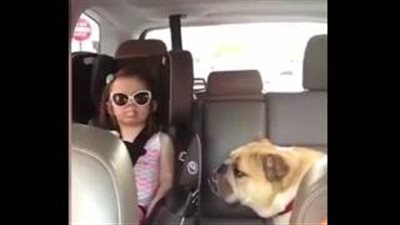 بالفيديو.. طفلة تثير الجدل بمشاركتها الآيس كريم مع كلبها