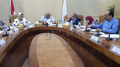 حلول عاجلة للمشروعات الاستثمارية المتعثرة بالوادي الجديد