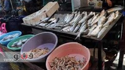 64 % من قراء «فيتو» يتوقعون تأثير حملات مقاطعة الأسماك على أسعارها