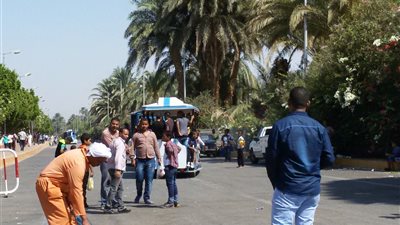 بالصور.. تراكم القمامة بشوارع قنا