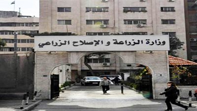 وكيل زراعة الدقهلية: غرامات مغلظة وإزالات لمشاتل الأرز المخالفة