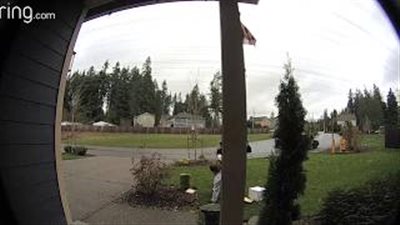 نهاية قاسية لامرأة سرقت طردا من منزل (فيديو)