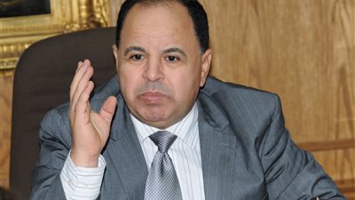 وزير المالية: زيادة المرتبات أول يوليو بحد أدنى 265 جنيها (فيديو)