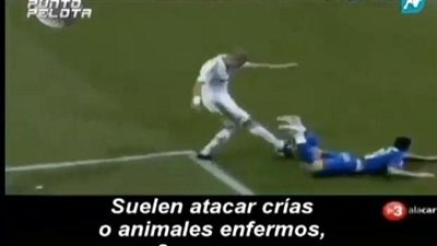 بالفيديو.. قناة كتالونية تشبه لاعبى الريال بالضباع