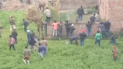 نمر يهاجم سكان مدينة هندية (فيديو)