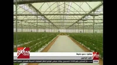 نقيب الزراعيين: البطالة انخفضت إلى 10% بفضل المشروعات القومية (فيديو)