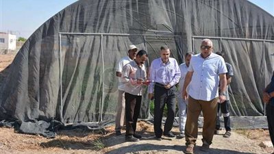 تنفيذ 250 صوبة زراعية بالوادى الجديد