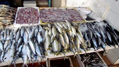 توقعات باستمرار أزمة ارتفاع أسعار الأسماك حتى يوليو