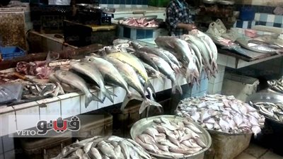 ارتفاع أسعار السمك في البحيرة.. وحملة مقاطعة بعنوان «خليها تعفن»