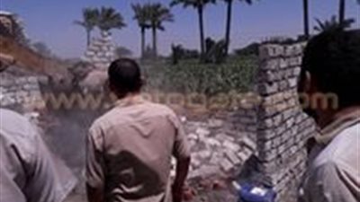 بالصور.. إزالة 92% من التعديات على الأراضي الزراعية في الشرقية