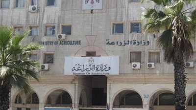 الزراعة تتلقى طلبات من شركات السكر لحجز مساحات من البنجر في غرب المنيا