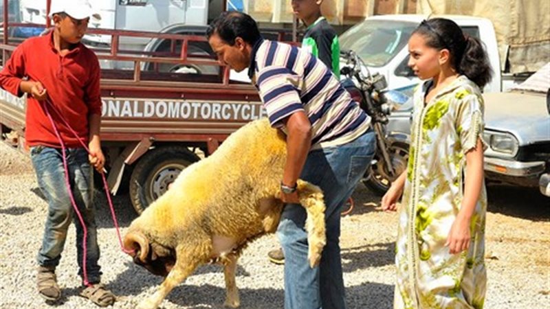 صورة ارشيفية