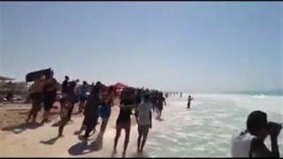 بالفيديو «حوت مارينا يقترب من المصيفين»..يسبح على بعد أمتار من الشاطيء.. والمصيفون يقذفوه بـ«الطوب».. «البيئة» تكشف تفاصيله.. و«عيسوي»: منشورات لتوضيح طرق التعا