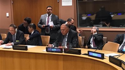 وزير الخارجية يطالب بإيجاد سبل لاستعادة الآثار المهربة